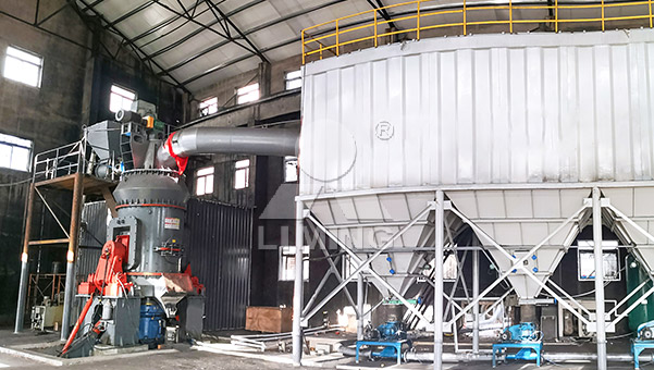 Petroleum Coke Grinding Project Used For Float Glass Furnace Fuel in Liaoning, China